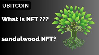 EcoFriendly Assets UBITCOIN Sandalwood NFTs for Sustainable Investing [upl. by Alurta]