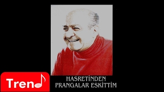 Ahmed Arif  Hasretinden Prangalar Eskittim ahmedarif [upl. by Cohberg]