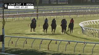 Flemington Jump Outs 5 Jan 2024 Jump Out 1 [upl. by Wier]