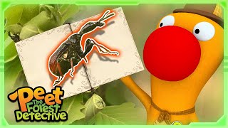 Mysterious Leaf Rolls in Forest 🐸🦎  Full Episode  Cartoons for Kids  Peet The Forest Detective [upl. by Till]