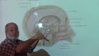 Neuroanatomy 100  Dural folds amp dural venous sinuses  part 1   by Dr Wahdan [upl. by Neicul]