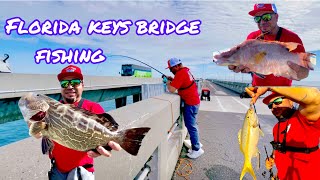 Florida keys fishing  black grouper  hog fish  yellow tail snapper  mackerel  escooter fun 🤩 [upl. by Enneirdna497]