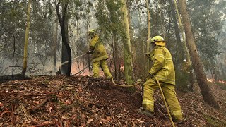 Australians helping neighbours traumatized by fire Everythings burned [upl. by Quiteri]