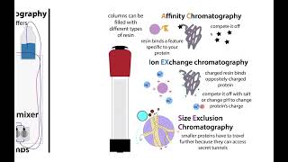 Overview of recombinant protein expression purification amp structural biology [upl. by Aggri]