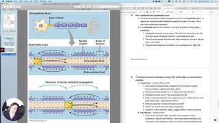 Membrane Potentials 7 Saltatory v continuous conduction of APs [upl. by Htidirem530]