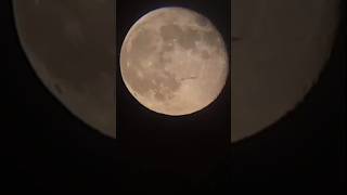 Bird Transit of the Moon Canada Geese I Believe Telescope View 101824 1947 16 Day Old Moon [upl. by Giffy]