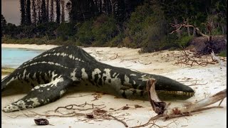 Nel mondo dei Dinosauri  ITALIANO  Parte 28  Mare Crudele morte Liopleurodon [upl. by Goulden]