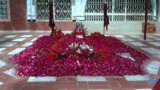 tribute to bawa syed sada hussain [upl. by Griz925]