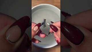 How To Clean Your Lashes [upl. by Raoul160]