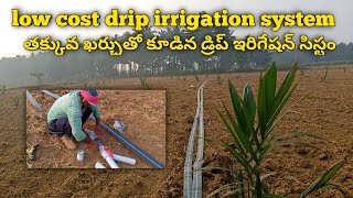 low cost drip irrigation system drip irrigation dripirrigation low cost farming agriculture [upl. by Carrew999]