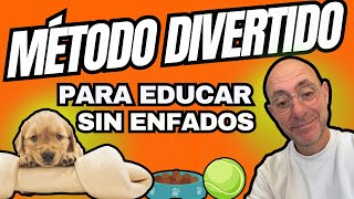 FORTALECE el VÍNCULO con tu CACHORRO Juegos y Educación Divertida [upl. by Lrat]