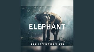 Elephant [upl. by Ammej]