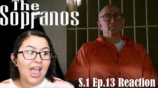 The Sopranos Season 1 Ep13  quotI Dream Of Jeannie Cusamanoquot Reaction [upl. by Aerdnas542]