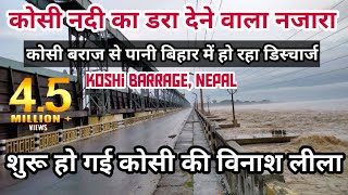 नेपाल के कोसी बराज से छोड़ा जा रहा बहुत सारा पानी डूब जाएगा बिहार  Koshi Barrage Nepal [upl. by Nerine707]