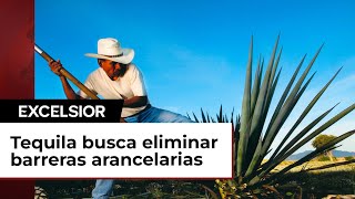 El CRT busca eliminar barreras arancelarias del tequila en China e India [upl. by Sutton68]