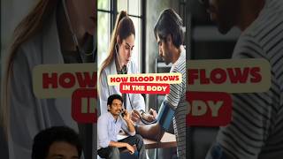 How blood flows in the body shorts trending bloodpressure doctorsadvice [upl. by Yahc]