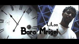 LiLoo  Bara Mrigel Official Music Video Prod by Methem [upl. by Varhol481]