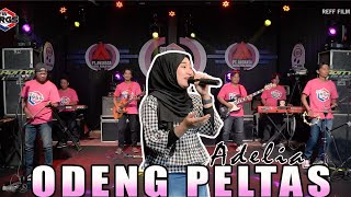 Adelia  Odeng Peltas Official Live Music  NEW RGS [upl. by Dwight]