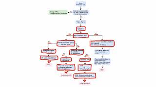 Abdominal Pain and Acute Abdomen  Pathophysiology  Right upper quadrant abdominal pain  part [upl. by Aennyl]