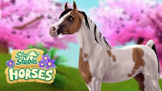 Buying the Exclusive Stunning Pintabian in the Star Stable Horses App  SSO Star Stable Horses [upl. by Enyahs]