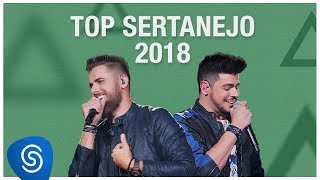 Top Lançamentos Sertanejo 2019  Os Melhores Clipes [upl. by Hayarahs]