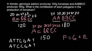 What is Polygene and Additive trait [upl. by Giark]