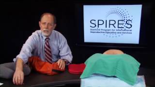 SPIRES Post Partum IUD insertion training demonstration [upl. by Aknahs]