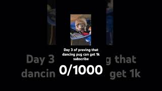 Dancing pug dance lol pug dancing fypシ゚viral [upl. by Conlon532]