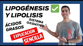 ✔️ LIPOGENESIS Y LIPOLISIS Bioquimica Acidos Grasos SISTEMA ENERGETICO OXIDATIVO 3ra Parte [upl. by Aara]