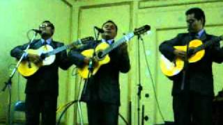 moliendo cafe trio dos generacionesmpg [upl. by Lajet147]