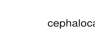 How to pronounce cephalocaudal [upl. by Threlkeld545]