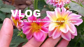 Honzík Lací  Vlog Jak osazovat do trojsponu  video bez Oskara [upl. by Omrellug]