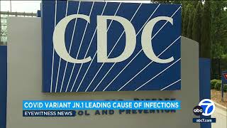 COVID JN1 variant now leading cause of infections in United States CDC says [upl. by Zednanref]