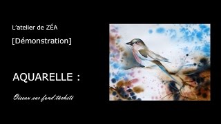 Démonstration Aquarelle  Peindre un oiseau sur fond tâcheté en technique humide [upl. by Antonino]