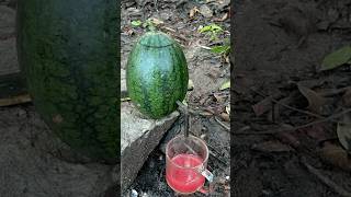 Survival Skills single mom make Watermelon Juice Fruit survival camping bushcraft outdoor [upl. by Libyc]