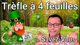 Légende du trèfle à 4 feuilles  LE SaVeZVoUS [upl. by Inoj]