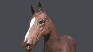 Horse 3D [upl. by Petra]