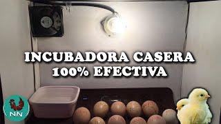 Elabora tu propia incubadora casera de huevos FUNCIONA 100 [upl. by Eaner740]