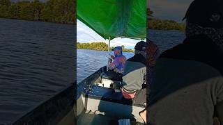 Mancing gt shortvideo fishing pembutanspeedboatmancing azmifishing [upl. by Knarf]