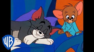 Tom y Jerry en Latino  Ya regresó la temporada acogedora 🍁  WB Kids [upl. by Atteyram806]