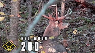 Hunt For 4  200inch GIANT Buck [upl. by Richia]