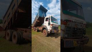 Tata Truck Unloading Mud shorts tatatruck [upl. by Nauj]