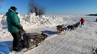 Canadas Premier Dog Sled Race The Canadian Challenge [upl. by Enileuqkcaj]