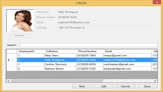 C Application  Insert Delete Update Select in MS Access Database  FoxLearn [upl. by Kilian]