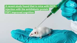 Antidiabetic FGF1 also reduces diabetesassociated cognitive decline in mice [upl. by Janifer]