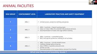 What are the animal biosafety levels [upl. by Mauer]