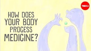 How does your body process medicine  Céline Valéry [upl. by Aissej]