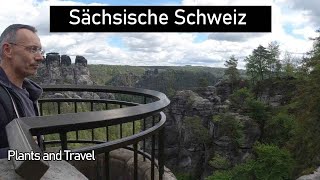 Mit dem Wohnmobil in die Sächsische Schweiz Bastei und Schwedenlöcher Teil 1 [upl. by Yelrebmyk]