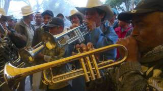 PAVIDO NAVIDO B SERENATA HUASTECA HUEJUTLA HGO [upl. by Rianna]