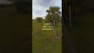 Very low budget Investment land Sale in Kattayamanthal 🆔1309 Near Vedanthangal lowbudget landsale [upl. by Matilda627]